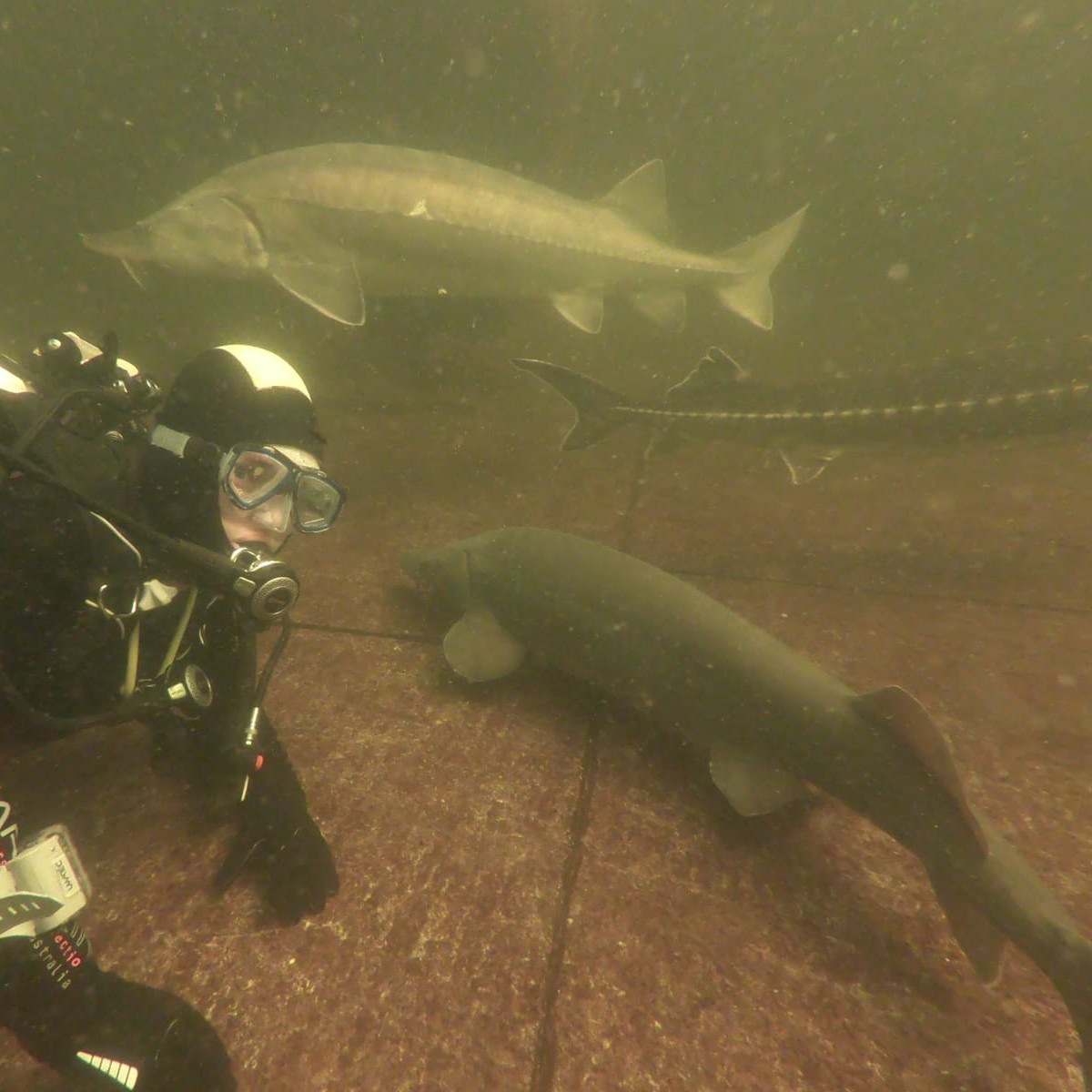 Arlberger_Jugend_meets_DUC_die_2