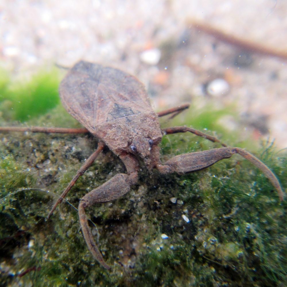 Arlberger_Jugend_meets_DUC_die_2